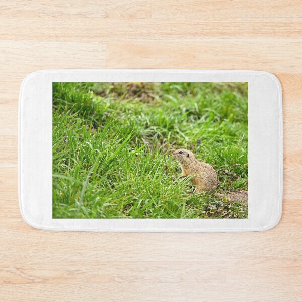 Item preview, European Souslik Spermophilus citellus stands in the grass designed and sold by goceris.