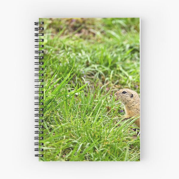 Item preview, European Souslik Spermophilus citellus stands in the grass designed and sold by goceris.