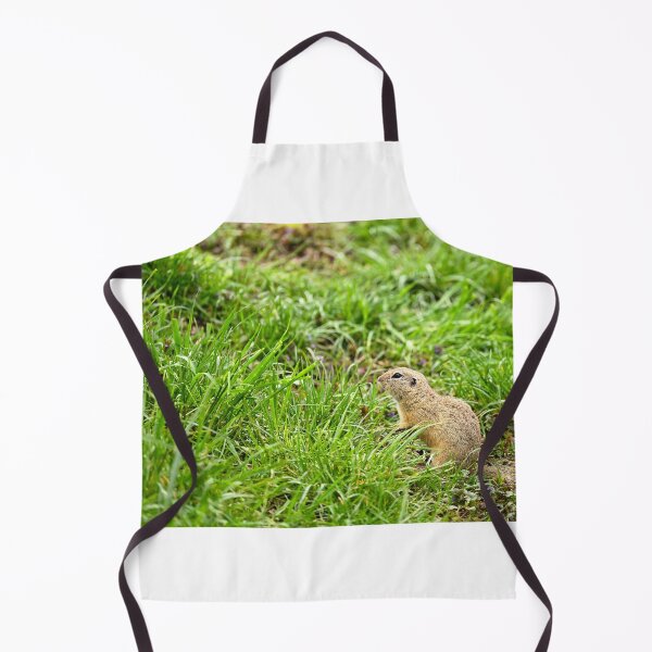 Item preview, European Souslik Spermophilus citellus stands in the grass designed and sold by goceris.