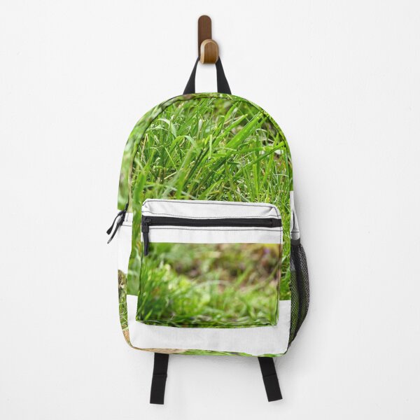 Item preview, European Souslik Spermophilus citellus stands in the grass designed and sold by goceris.