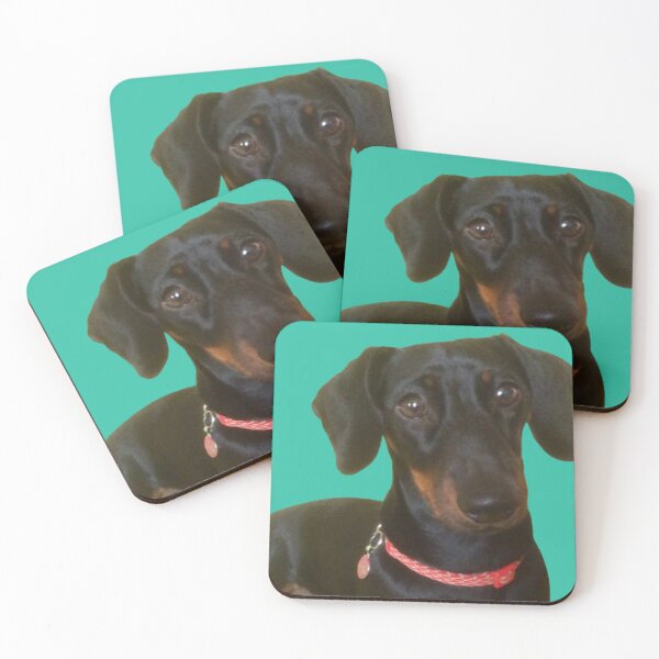 Item preview, “Lovable Layla”.  Love to All Animals . designed and sold by Angela Haig-Harrison.