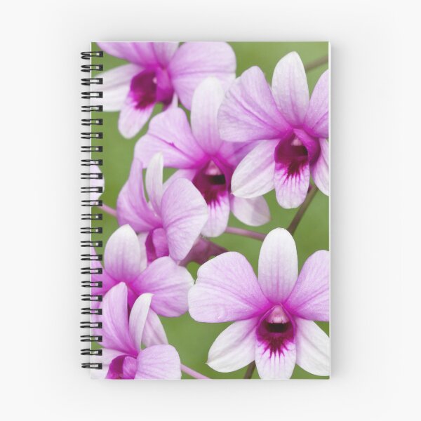 Item preview,  Beautiful Pink Orchid flowers. Beautiful nature. Landscape.  designed and sold by Relaxation  Time.