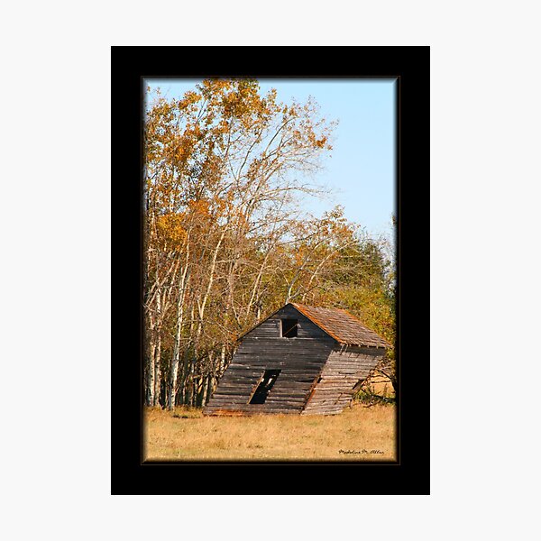 Slanted Shed Photographic Print