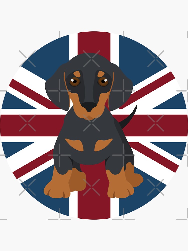 Dachshund Dog, Union Jack Flag by milldogstation