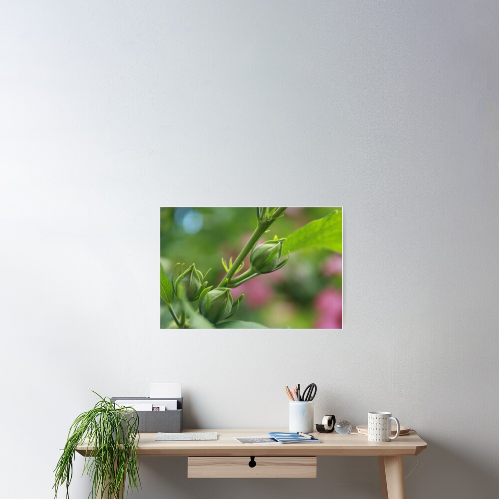 Vista previa del artículo con la obra «Póster», diseñado y vendido por Keeawe.