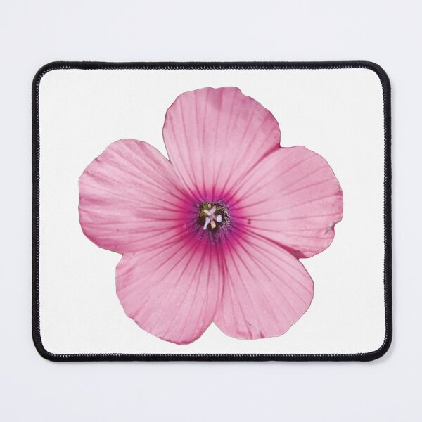 Item preview, Hairy Pink Flax Flower designed and sold by Shico.