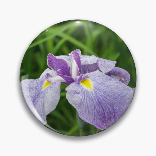Item preview, Amethyst Colored Japanese Irises in Bloom - A Garden for Van Gogh designed and sold by Georgia Mizuleva.