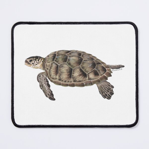 Item preview, Green sea turtle - Chelonia mydas designed and sold by Alberto Orilia.
