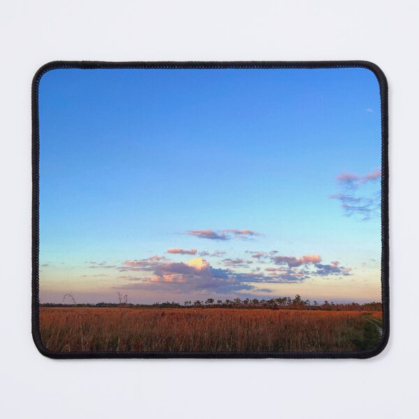 Item preview, Lightly Used designed and sold by Jason Tompkins.