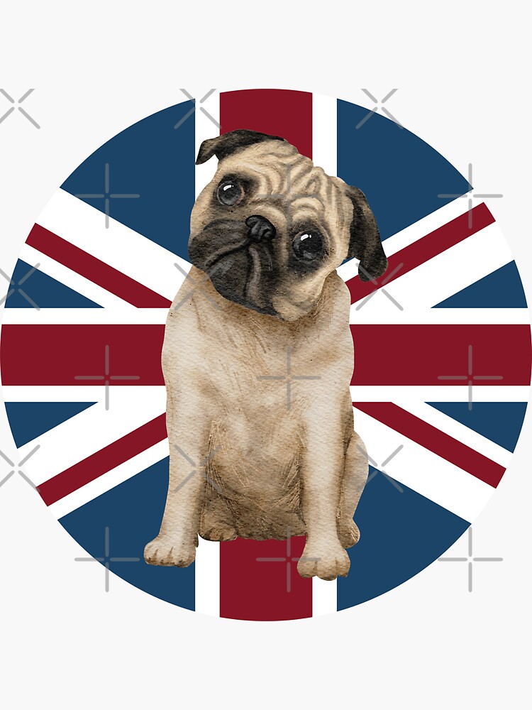 Pug Dog, Union Jack Flag by milldogstation