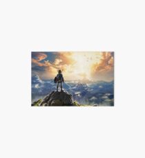 The Legend of Zelda: Breath of the Wild Link Art Board Print