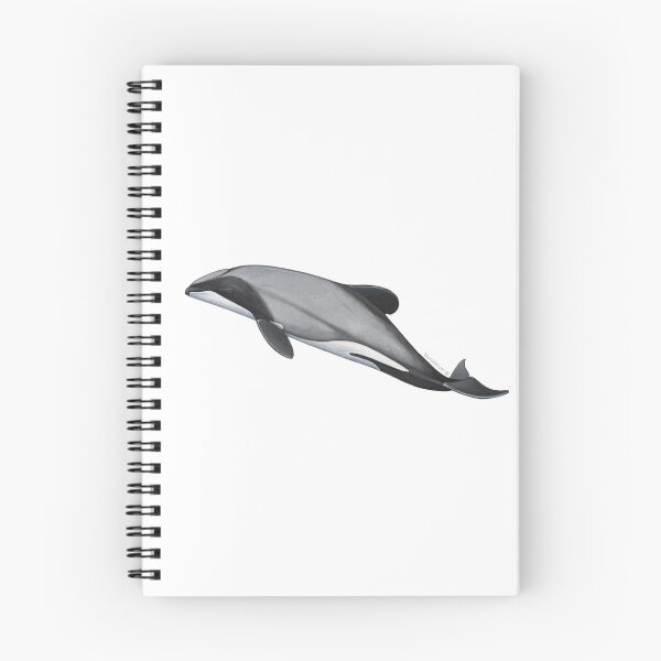 Item preview, Hector's Dolphin, Maui dolphin - C. hectori designed and sold by Alberto Orilia.