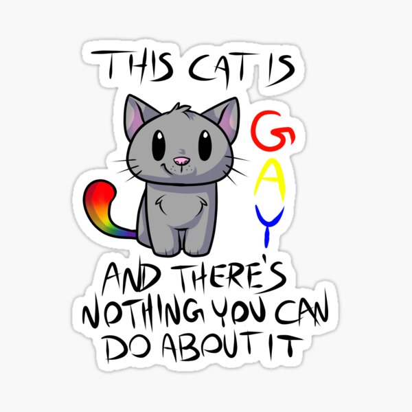 this cat is gay shirt