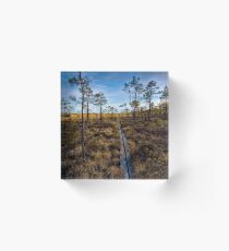 Store Mosse tracks Acrylic Block