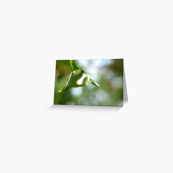 Catching Rain Greeting Card