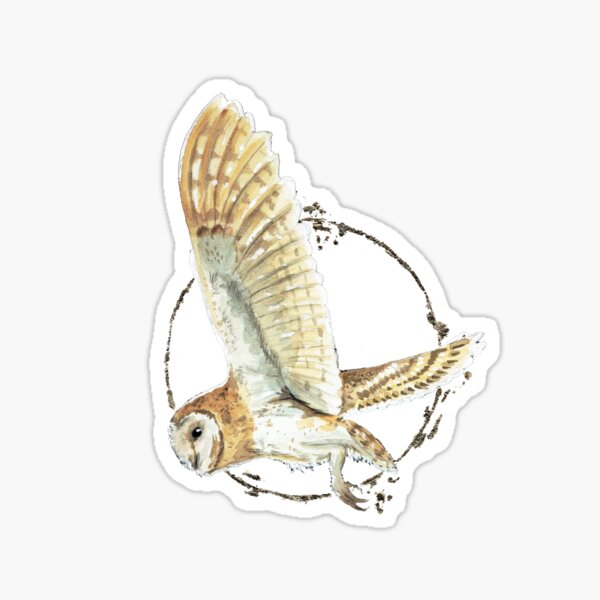 be free and fly - owl painting Sticker