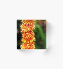 Strung Flowers Acrylic Block