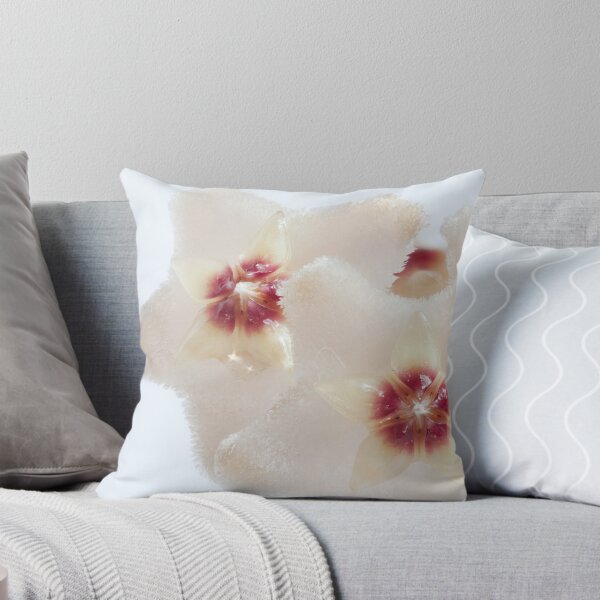 Item preview, Hoya flowers macro shot designed and sold by mrivserg.