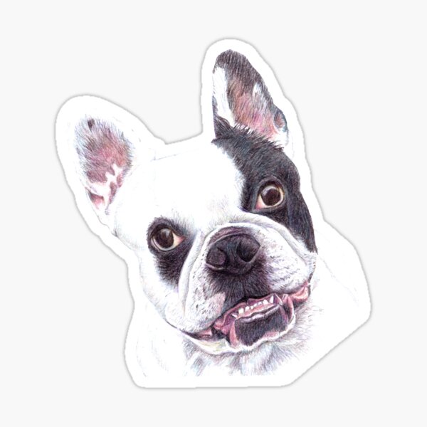 French Bulldog illustration Sticker