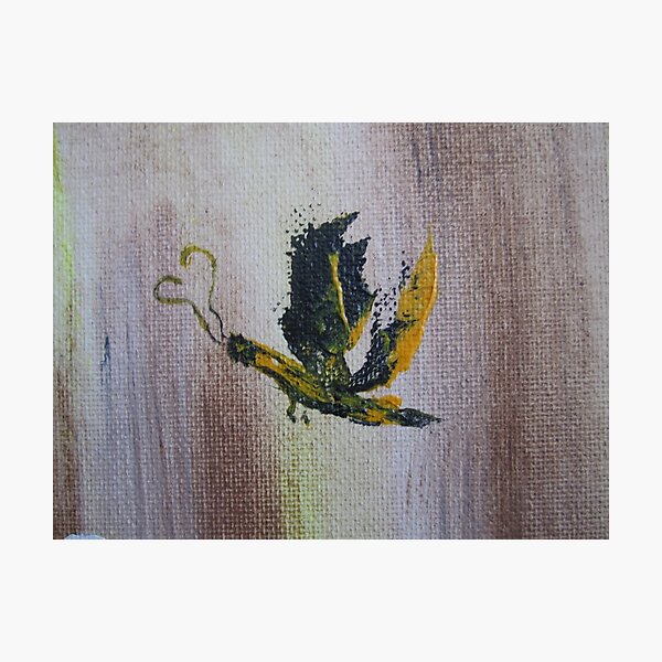Yellow butterfly Photographic Print