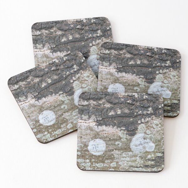 Item preview, Coloured Lichen on Tree Bark designed and sold by Sinemathk.