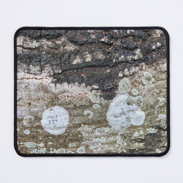 Item preview, Coloured Lichen on Tree Bark designed and sold by Sinemathk.