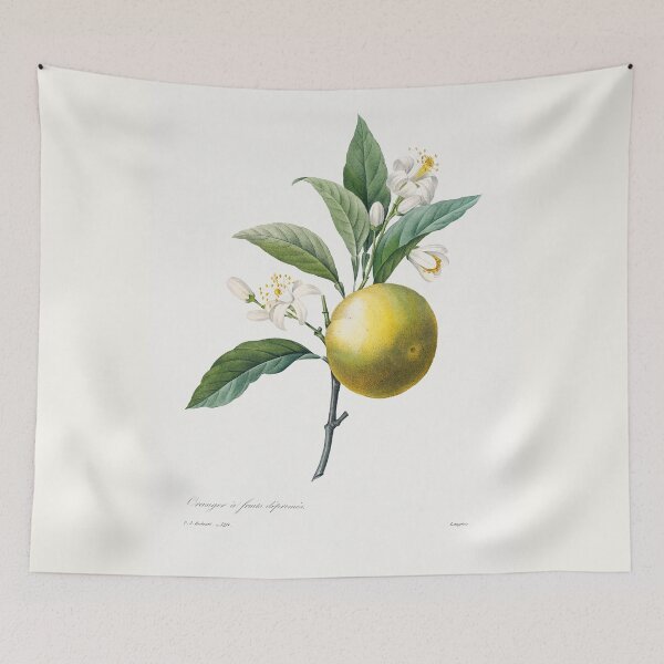 Item preview, Orange (1759–1840) Vintage Hand Drawn Flower Sketch (Botanical drawing) designed and sold by UsedToBeStatue.