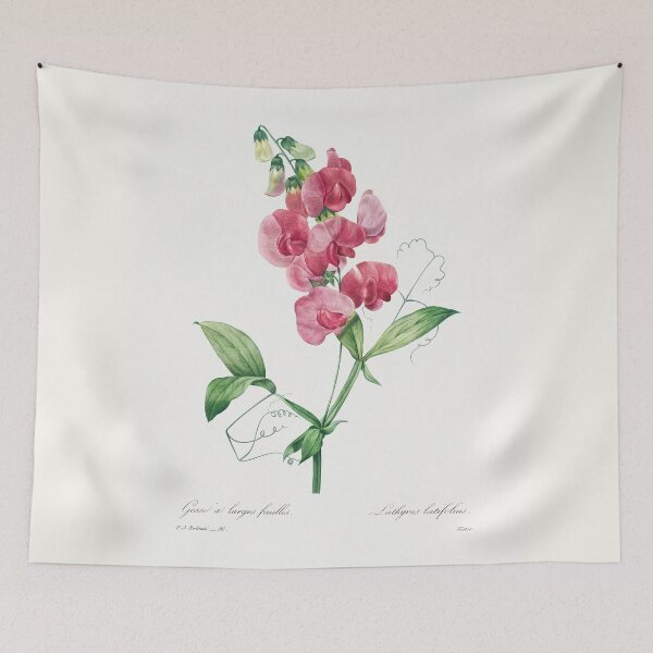 Item preview, Everlasting Pea (1759–1840) Vintage Hand Drawn Flower Sketch (Botanical drawing) designed and sold by UsedToBeStatue.