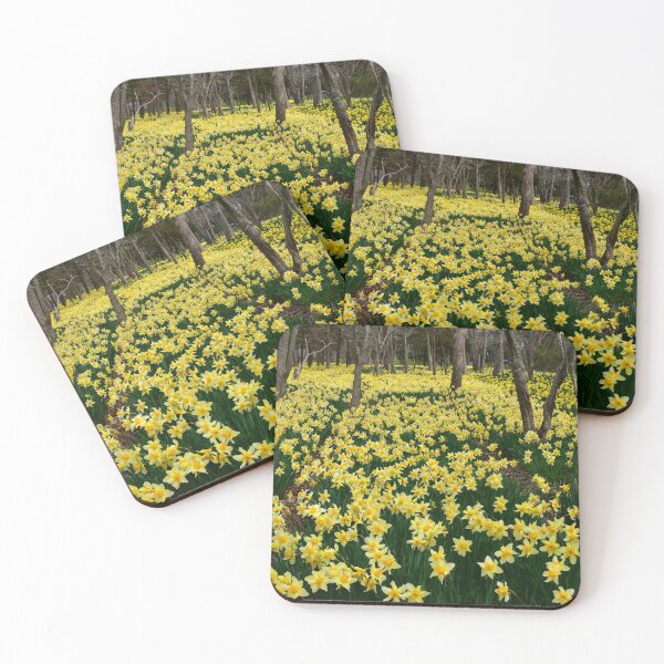Item preview, Daffodils in full bloom...Parsons Reserve !!! designed and sold by Poete100.