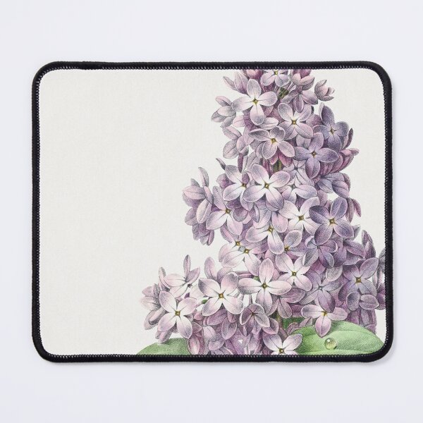 Item preview, Lilac (1759–1840) Vintage Hand Drawn Flower Sketch (Botanical drawing) designed and sold by UsedToBeStatue.