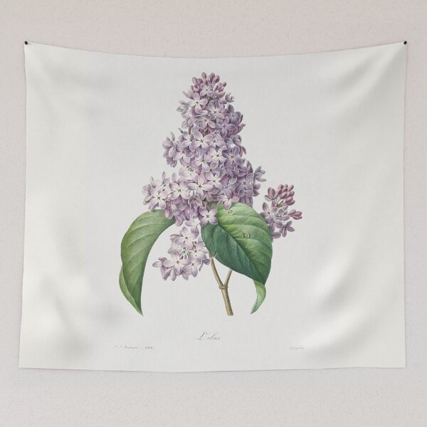 Item preview, Lilac (1759–1840) Vintage Hand Drawn Flower Sketch (Botanical drawing) designed and sold by UsedToBeStatue.