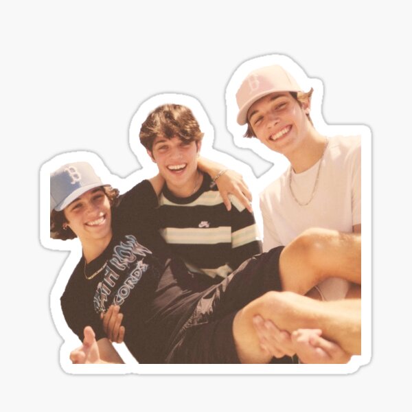 Sturniolo triplets let's trip Matt Nick Chris Sticker