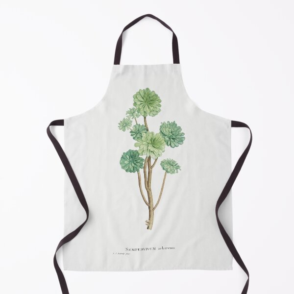 Item preview, Sempervivum Arboreum (Tree Houseleek) Vintage (1799) Hand Drawn Flower Sketch (Botanical drawing) designed and sold by UsedToBeStatue.