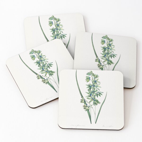 Item preview, African Corn Lily (1759–1840) Vintage Hand Drawn Flower Sketch (Botanical drawing) designed and sold by UsedToBeStatue.