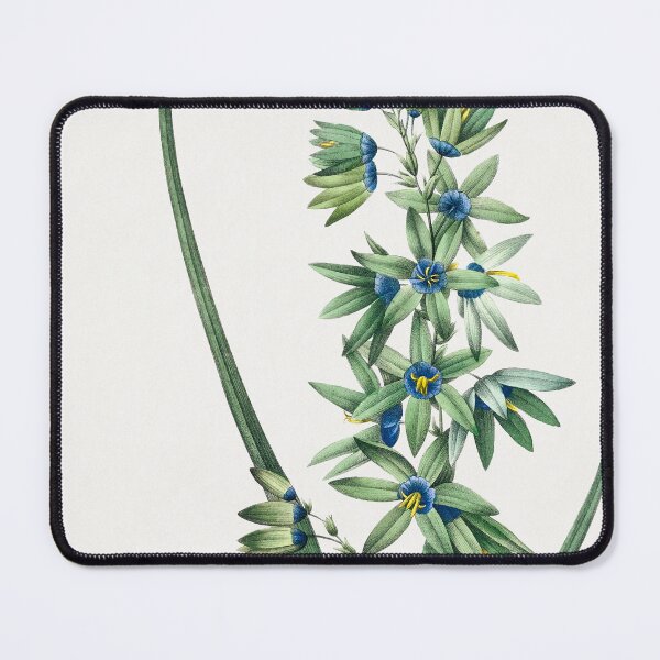 Item preview, African Corn Lily (1759–1840) Vintage Hand Drawn Flower Sketch (Botanical drawing) designed and sold by UsedToBeStatue.
