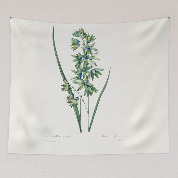 Item preview, African Corn Lily (1759–1840) Vintage Hand Drawn Flower Sketch (Botanical drawing) designed and sold by UsedToBeStatue.