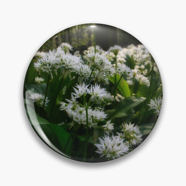 Item preview, Wild garlic in the forest designed and sold by Ann Biddlecombe.