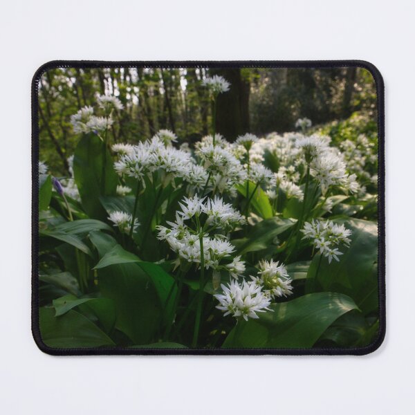 Item preview, Wild garlic in the forest designed and sold by Ann Biddlecombe.