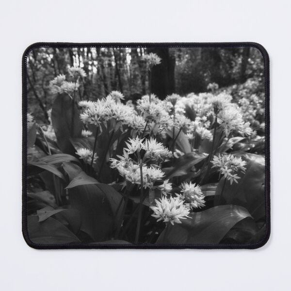 Item preview, Wild garlic in the forest in monochrome designed and sold by Ann Biddlecombe.
