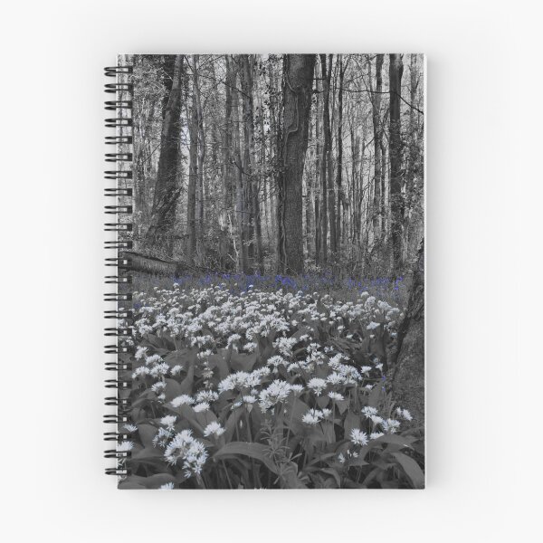 Item preview, wild garlic in the forest with bluebells designed and sold by Ann Biddlecombe.