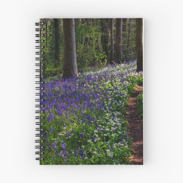 Item preview, Path though the bluebells and wild garlic in the forest designed and sold by Ann Biddlecombe.