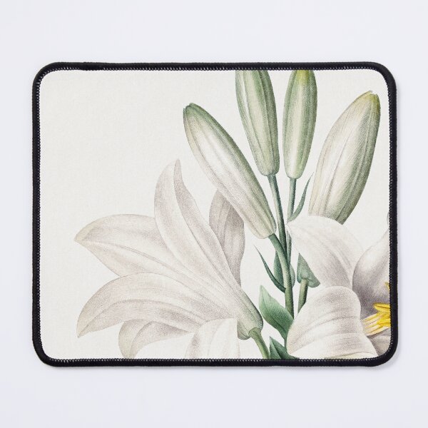 Item preview, Madonna Lily (1759–1840) Vintage Hand Drawn Flower Sketch (Botanical drawing) designed and sold by UsedToBeStatue.