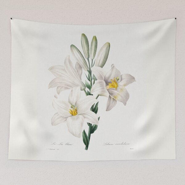 Item preview, Madonna Lily (1759–1840) Vintage Hand Drawn Flower Sketch (Botanical drawing) designed and sold by UsedToBeStatue.