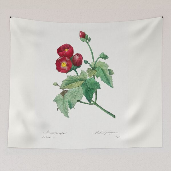 Item preview, Purple Mallow (1759–1840) Vintage Hand Drawn Flower Sketch (Botanical drawing) designed and sold by UsedToBeStatue.