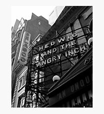Hedwig on Broadway Photographic Print