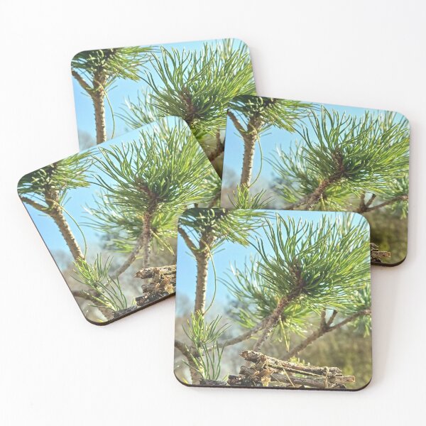 Item preview, Evergreen branches with diy little log house and blue sky designed and sold by CiniArt.