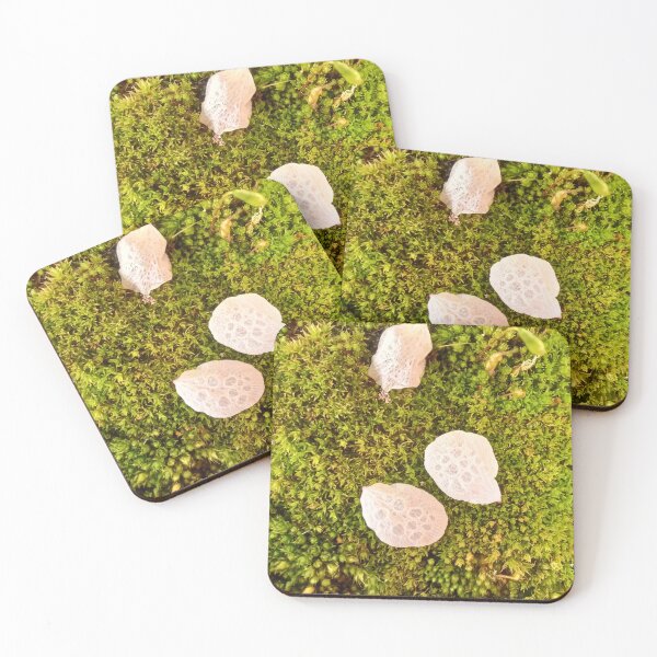 Item preview, Spring macro photo of raindrops on cherry tree flower petals on vibrant green moss designed and sold by CiniArt.