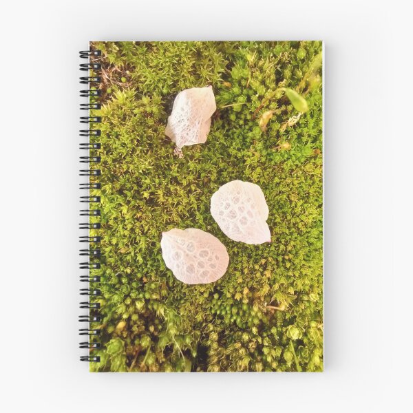 Item preview, Spring macro photo of raindrops on cherry tree flower petals on vibrant green moss designed and sold by CiniArt.