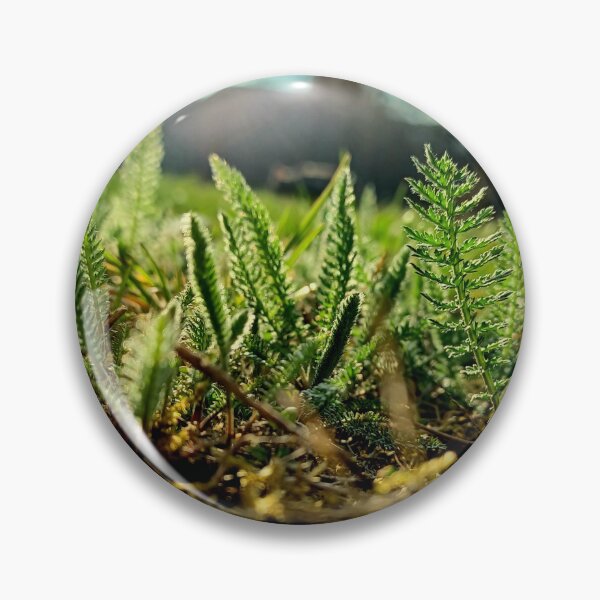 Item preview, Little green plants in the garden with sunset designed and sold by CiniArt.