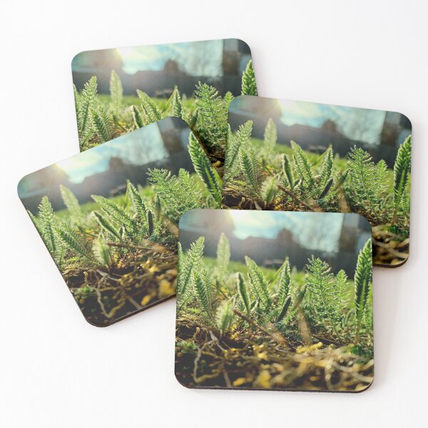 Item preview, Little green plants in the garden with sunset designed and sold by CiniArt.